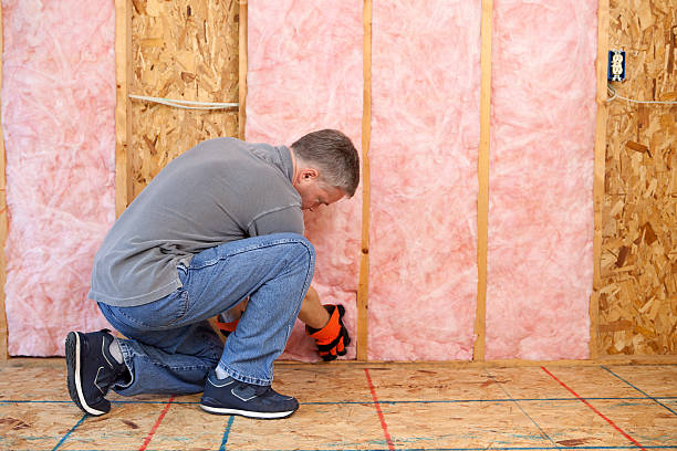 Best Professional Insulation Contractor  in Fairview, GA